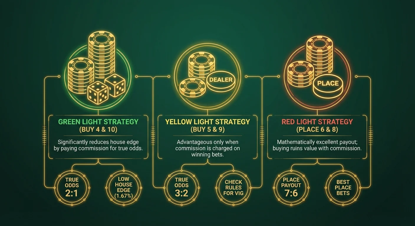 Infographic