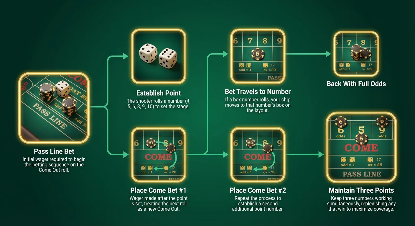 Infographic