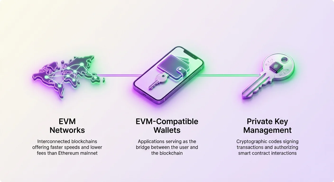 High-level infographic overview illustrating relationships between EVM networks, wallets, and private keys in Layer 2 security.