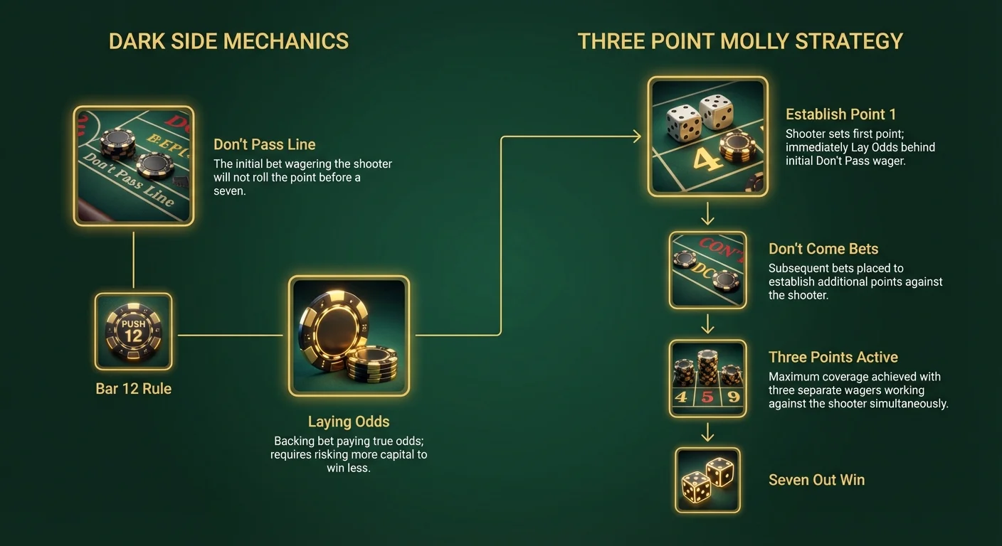Infographic